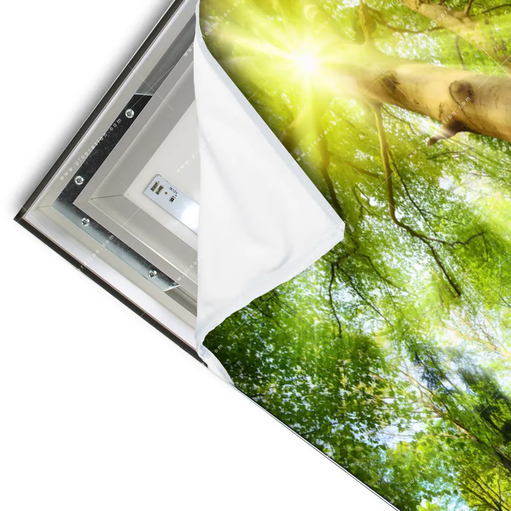 LED-Wandbild - Im frischen grnen Wald im Querformat