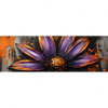 Led Wandbild Abstrakte Blume In Orange Lila Panorama Motivvorschau