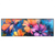 Led Wandbild Abstrakte Blumenpracht Panorama Produktvorschau Frontal