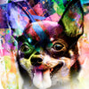 Led Wandbild Abstrakter Chihuahua Quadrat Motivvorschau
