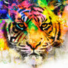 Led Wandbild Abstrakter Tiger Quadrat Motivvorschau