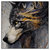 Led Wandbild Abstrakter Wolf In Gold Und Grau Quadrat Produktvorschau Frontal
