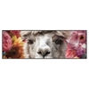 Led Wandbild Alpaka Mit Blumen Panorama Produktvorschau Frontal