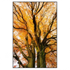 Led Wandbild Alte Buche Hochformat Produktvorschau Frontal