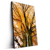 Led Wandbild Alte Buche Hochformat Produktvorschau Seitlich
