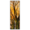 Led Wandbild Alte Buche Schmal Produktvorschau Frontal