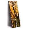 Led Wandbild Alte Buche Schmal Produktvorschau Seitlich