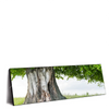 Led Wandbild Alte Linde Auf Sommerwiese Panorama Produktvorschau Seitlich