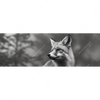 Led Wandbild Anmutiger Fuchs Panorama Motivvorschau