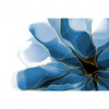Led Wandbild Aquarell Blume Querformat Motivvorschau