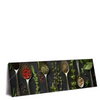 Led Wandbild Aromen Der Natur Panorama Produktvorschau Seitlich