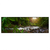 Led Wandbild Asiatischer Tropischer Dschungel Panorama Produktvorschau Frontal