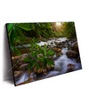 Led Wandbild Asiatischer Tropischer Dschungel Querformat Produktvorschau Seitlich