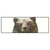 Led Wandbild Baer Wald No 1 Panorama Produktvorschau Frontal