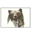 Led Wandbild Baer Wald No 1 Querformat Produktvorschau Frontal