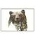 Led Wandbild Baer Wald No 1 Querformat Produktvorschau Frontal