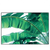 Led Wandbild Bananenpalme Querformat Produktvorschau Frontal