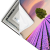 Led Wandbild Baum Im Blumenfeld Querformat Materialvorschau