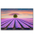 Led Wandbild Baum Im Blumenfeld Querformat Produktvorschau Frontal