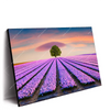 Led Wandbild Baum Im Blumenfeld Querformat Produktvorschau Seitlich
