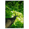 Led Wandbild Baum Im Wald Hochformat Produktvorschau Frontal