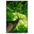 Led Wandbild Baum Im Wald Hochformat Produktvorschau Frontal