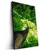 Led Wandbild Baum Im Wald Hochformat Produktvorschau Seitlich