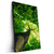 Led Wandbild Baum Im Wald Hochformat Produktvorschau Seitlich