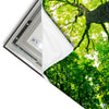 Led Wandbild Baum Im Wald Quadrat Materialvorschau