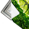 Led Wandbild Baum Im Wald Querformat Materialvorschau