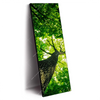 Led Wandbild Baum Im Wald Schmal Produktvorschau Seitlich