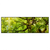Led Wandbild Baumkrone Einer Buche Panorama Produktvorschau Frontal