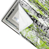 Led Wandbild Birkenwald Hochformat Materialvorschau