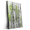 Led Wandbild Birkenwald Hochformat Produktvorschau Seitlich