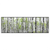 Led Wandbild Birkenwald Panorama Produktvorschau Frontal