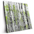 Led Wandbild Birkenwald Quadrat Produktvorschau Seitlich