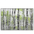Led Wandbild Birkenwald Querformat Produktvorschau Frontal