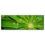 Led Wandbild Blatt Mit Wassertropfen Panorama Produktvorschau Frontal