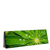 Led Wandbild Blatt Mit Wassertropfen Panorama Produktvorschau Seitlich