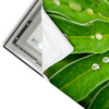Led Wandbild Blatt Mit Wassertropfen Querformat Materialvorschau
