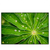 Led Wandbild Blatt Mit Wassertropfen Querformat Produktvorschau Frontal