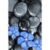 Led Wandbild Blaue Blume Graue Steine Hochformat Motivvorschau