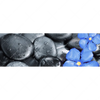 Led Wandbild Blaue Blume Graue Steine Panorama Motivvorschau