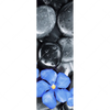 Led Wandbild Blaue Blume Graue Steine Schmal Motivvorschau