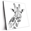 Led Wandbild Bleistiftzeichnung Giraffe Quadrat Produktvorschau Seitlich