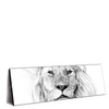 Led Wandbild Bleistiftzeichnung Loewe Panorama Produktvorschau Seitlich