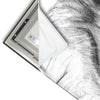 Led Wandbild Bleistiftzeichnung Loewe Schmal Materialvorschau