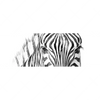 Led Wandbild Bleistiftzeichnung Zebra Panorama Motivvorschau