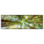 Led Wandbild Blick In Baumkronen Panorama Produktvorschau Frontal