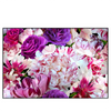 Led Wandbild Bluehende Pfingstrosen Querformat Produktvorschau Frontal